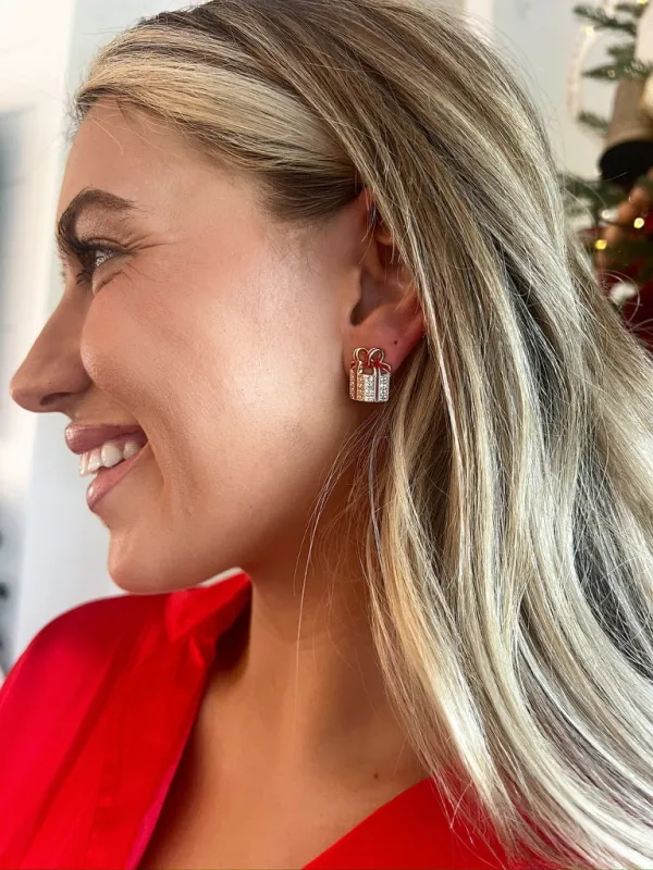 Crystal Embellished Gift Earrings sold by Bella Rose boutique