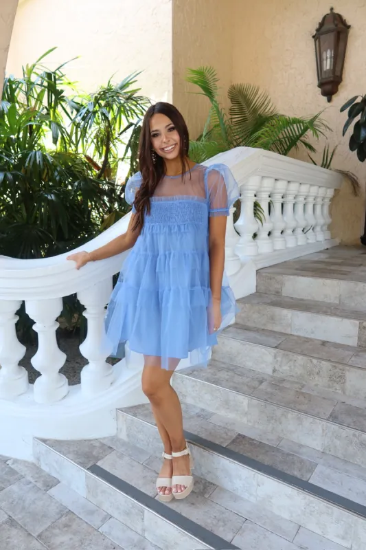 Charming Presence Mesh Mini Dress (LAST ONE - SIZE SMALL) sold by Bella Rose boutique