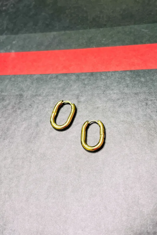 Tantalizing Gold Hoop Earrings sold by Bella Rose boutique