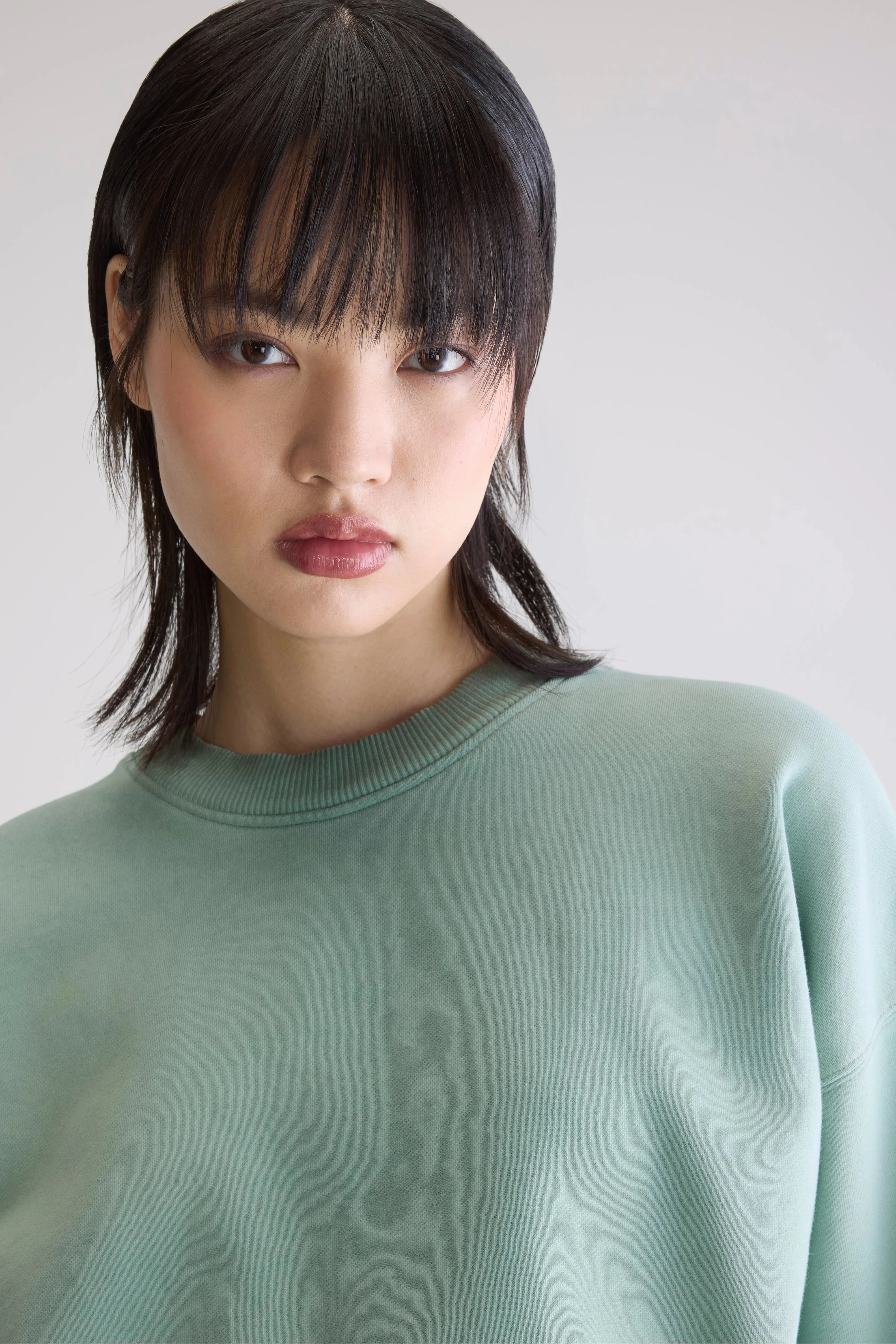 Slenni crewneck sweatshirt (252 / W / EUCALYPTUS) sold by Bellerose product image thumbnail 5