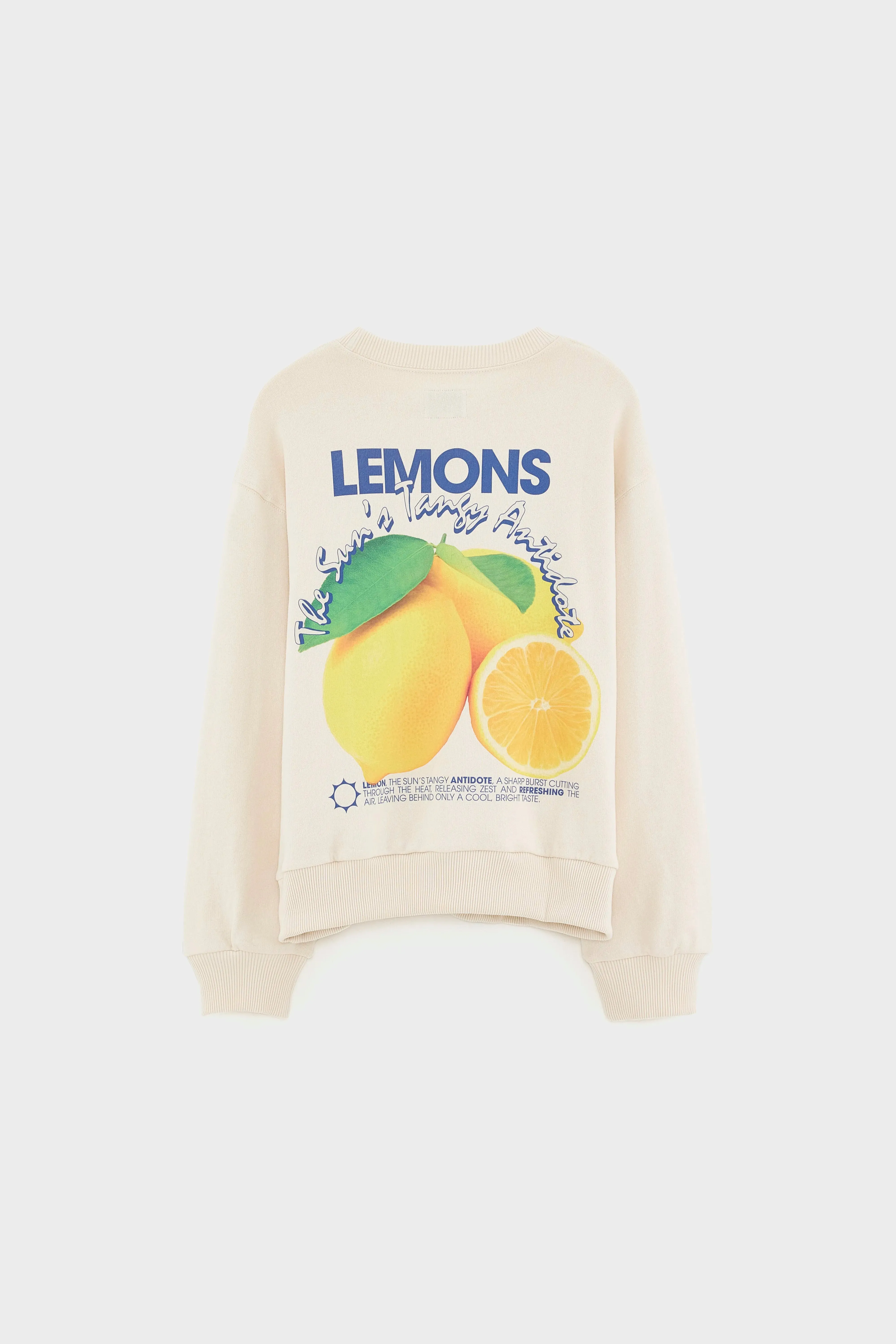 Chami crewneck sweatshirt (261 / B / CREAM) sold by Bellerose product image thumbnail 3