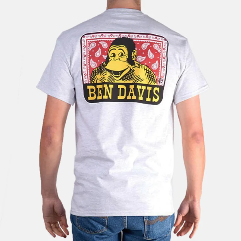 Paisley T-Shirt - Ash Grey sold by Ben Davis