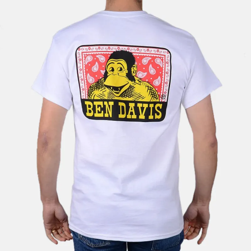 Paisley T-Shirt - White sold by Ben Davis
