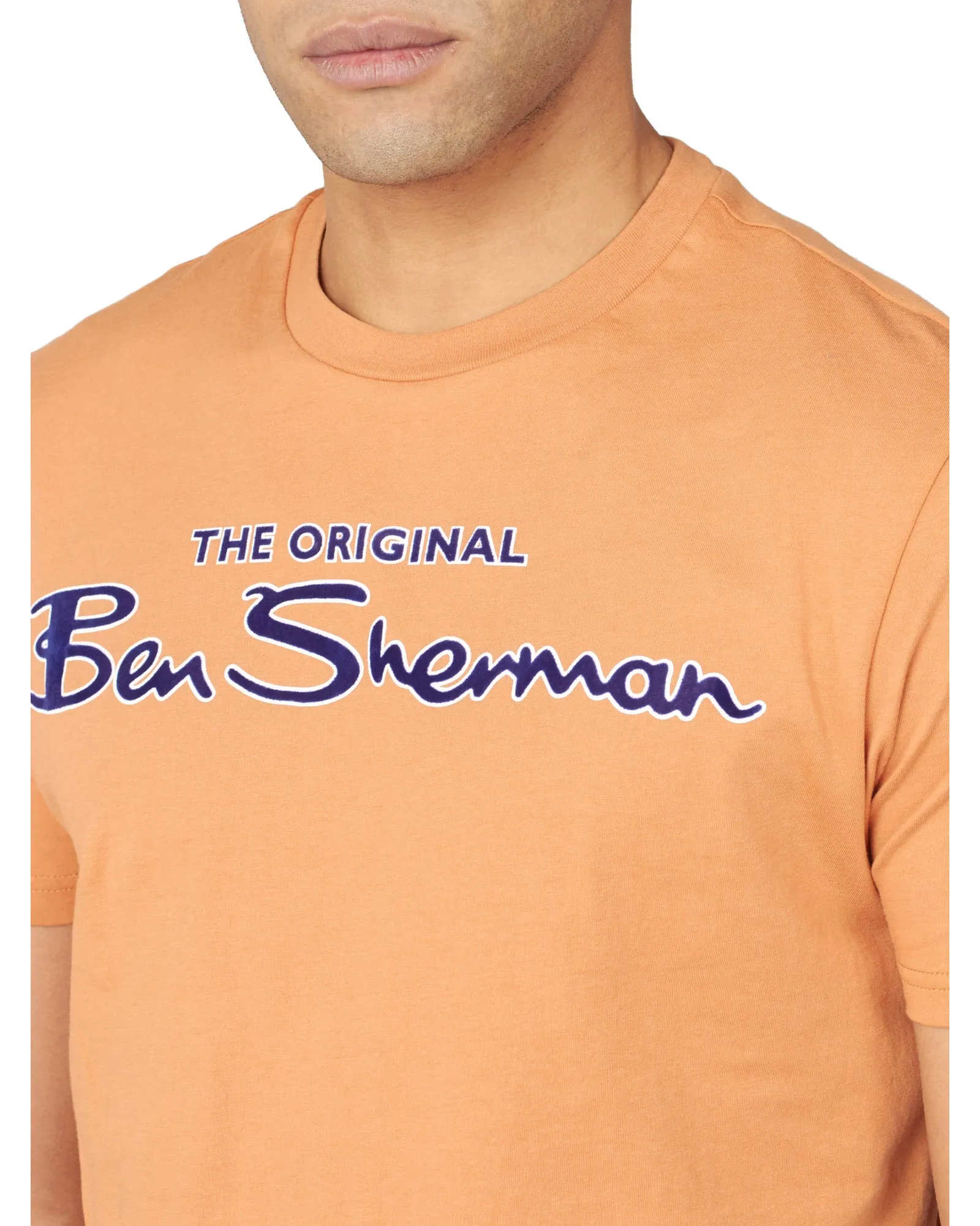 Signature Flock Graphic Tee - Anise sold by Ben Sherman product image thumbnail 3