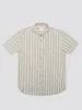 Signature Mod Stripe Shirt - Fog sold by Ben Sherman