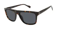 Kings Polarized Retro Square Sunglasses sold by Ben Sherman