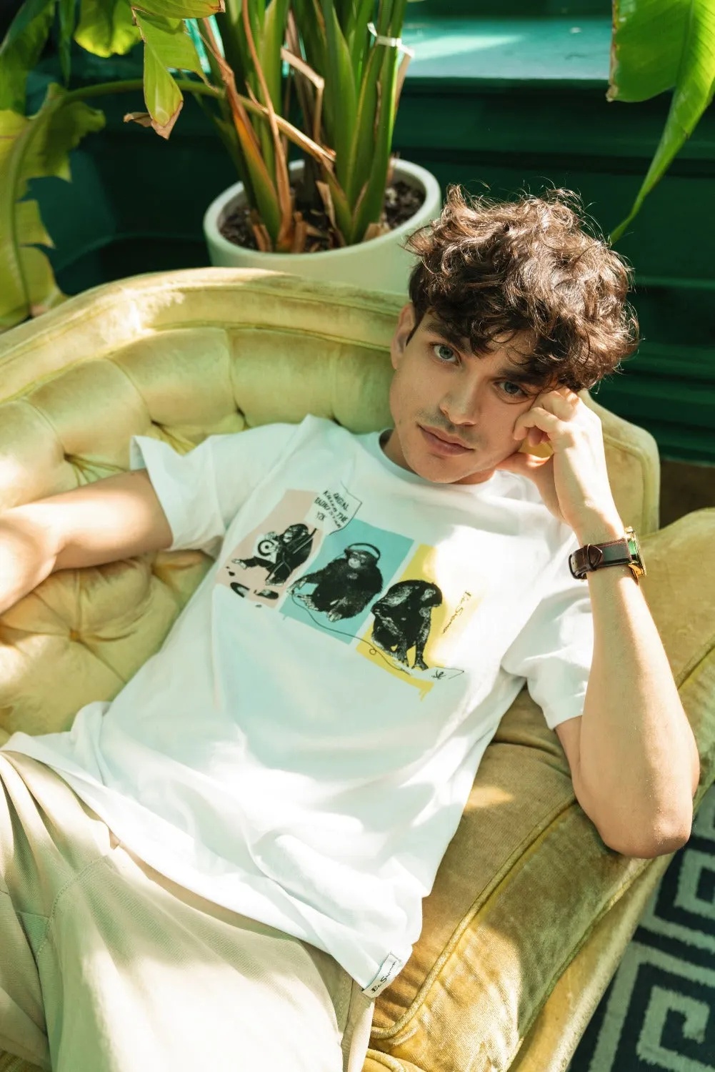 Signature 2000s Graphic Tee sold by Ben Sherman product image thumbnail 3