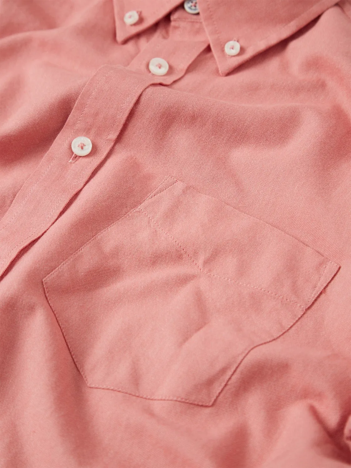 Signature Organic Oxford Shirt - Raspberry sold by Ben Sherman product image thumbnail 3