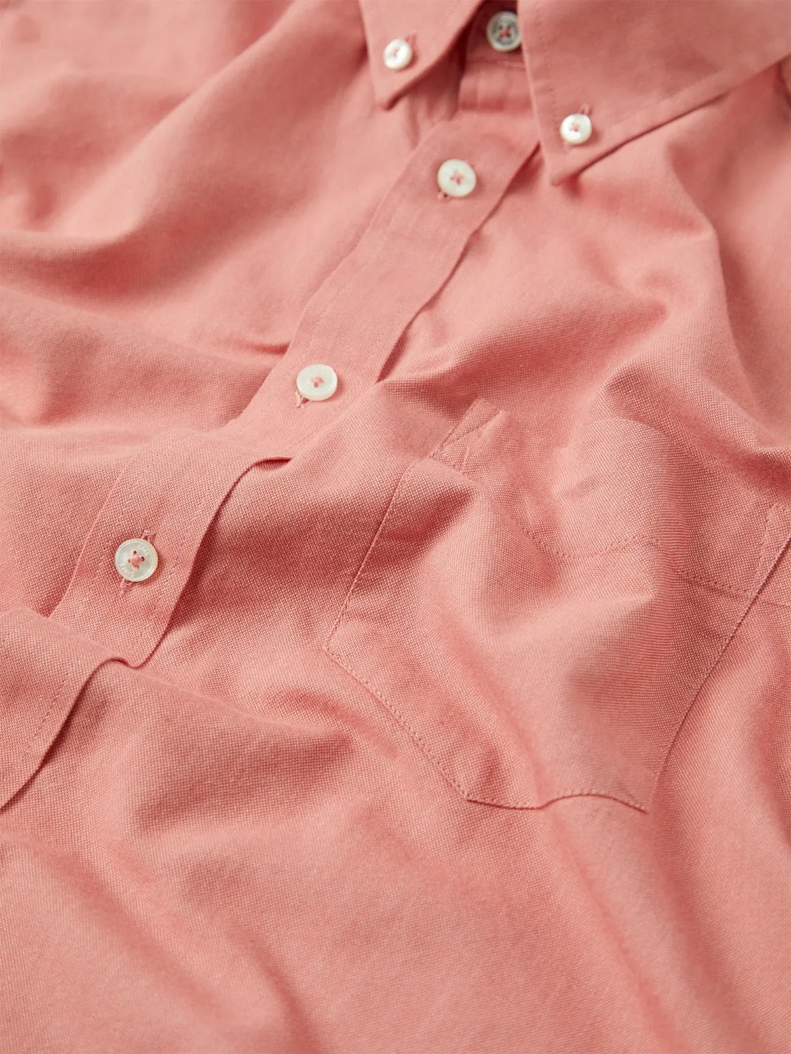 Signature Organic Short-Sleeve Oxford Shirt - Raspberry sold by Ben Sherman product image thumbnail 2