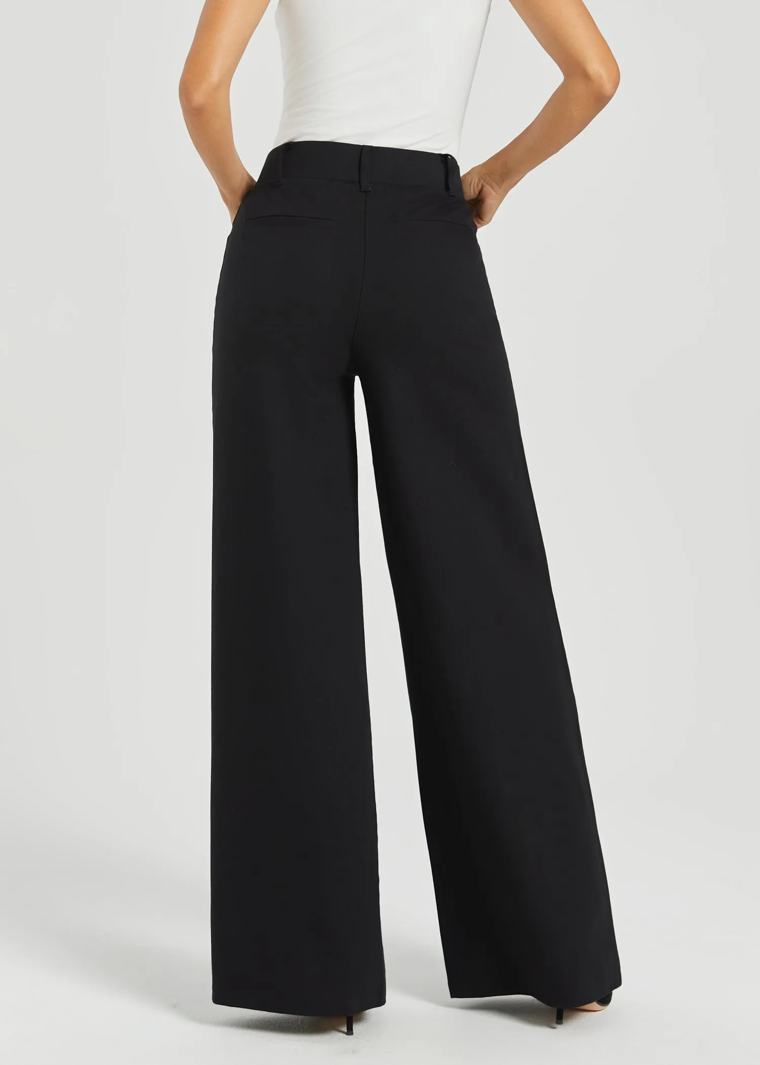 Two-Pocket DPYP™ Dress Pant Yoga Pant | Wide (Black) sold by Betabrand product image thumbnail 4