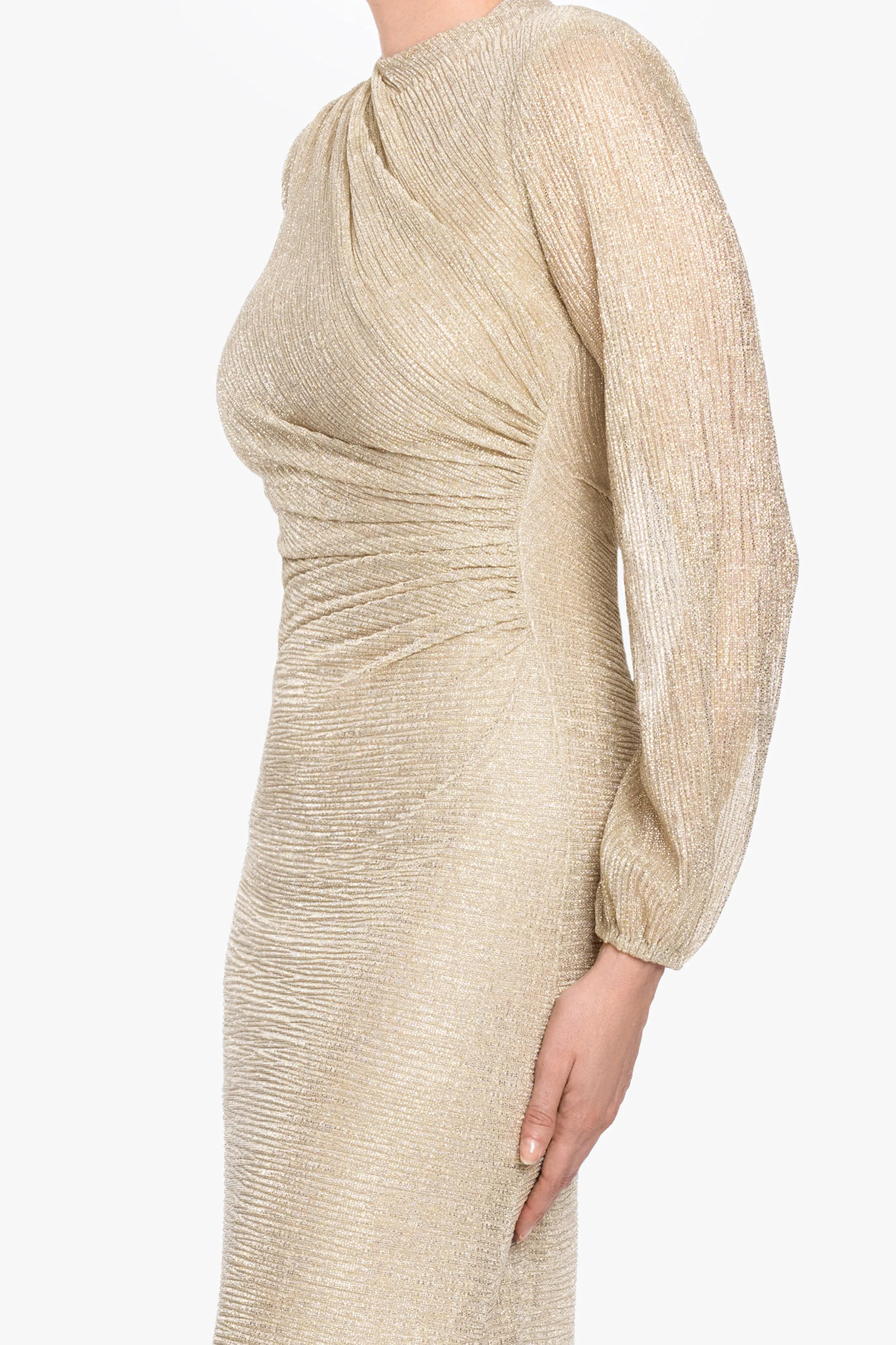 Petite "Jayline" Crinkle Metallic Long Sleeve Floor Length Dress sold by Betsy & Adam product image thumbnail 2