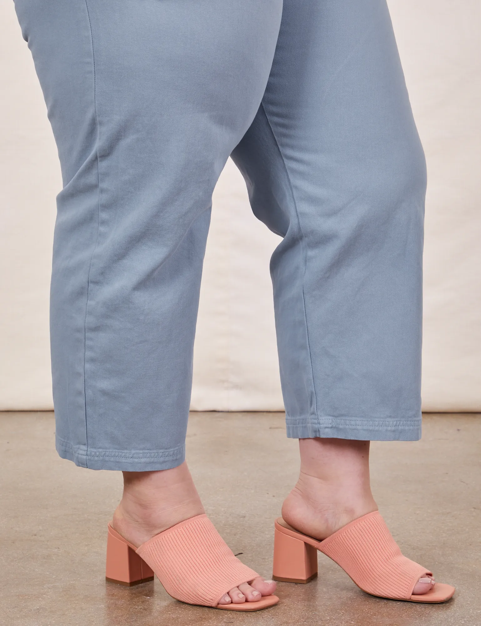 Petite Short Sleeve Jumpsuit - Periwinkle *FINAL SALE* sold by Big Bud Press product image thumbnail 4