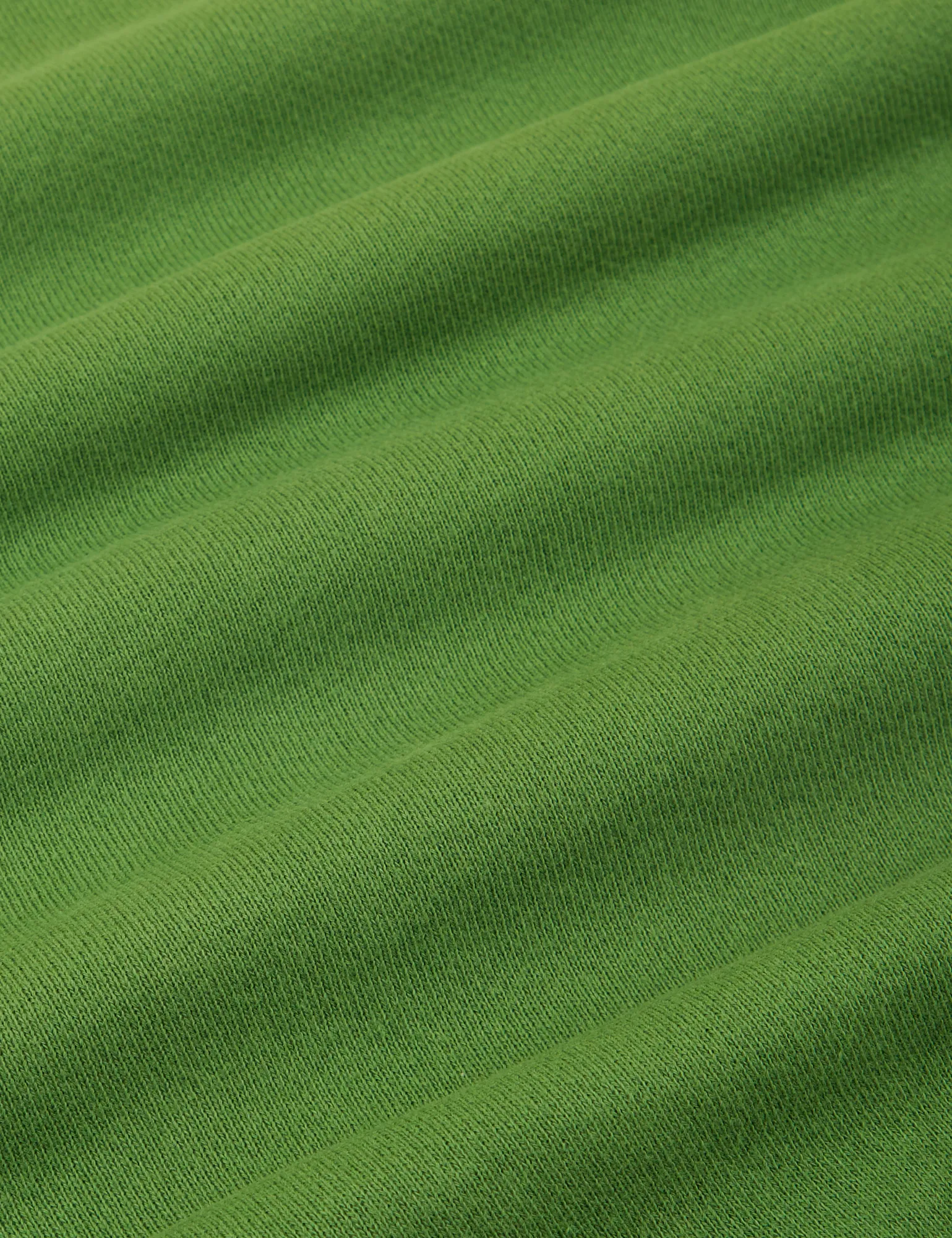 Heavyweight Crew - Lawn Green *FINAL SALE* sold by Big Bud Press product image thumbnail 2