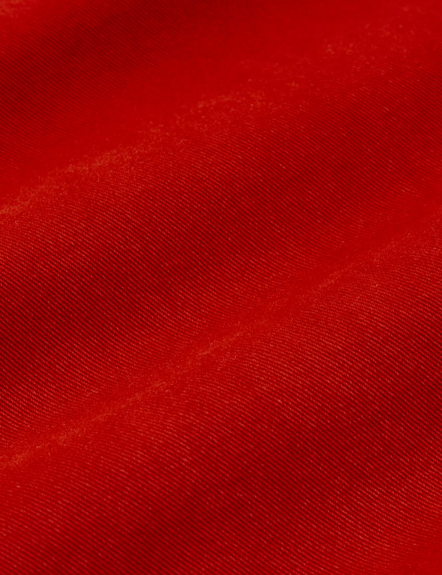 Work Pants - Paprika *FINAL SALE* sold by Big Bud Press product image thumbnail 2