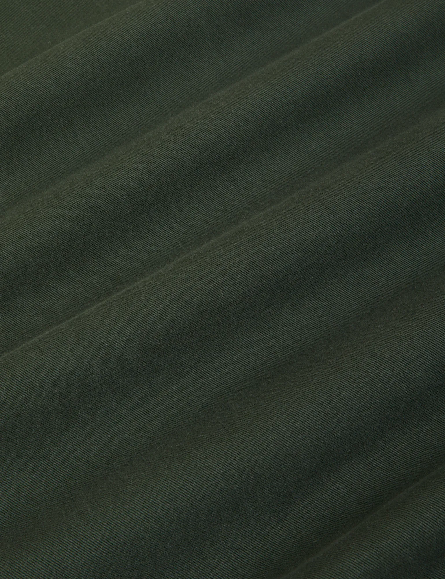Mid-Rise Work Pants - Swamp Green sold by Big Bud Press product image thumbnail 2