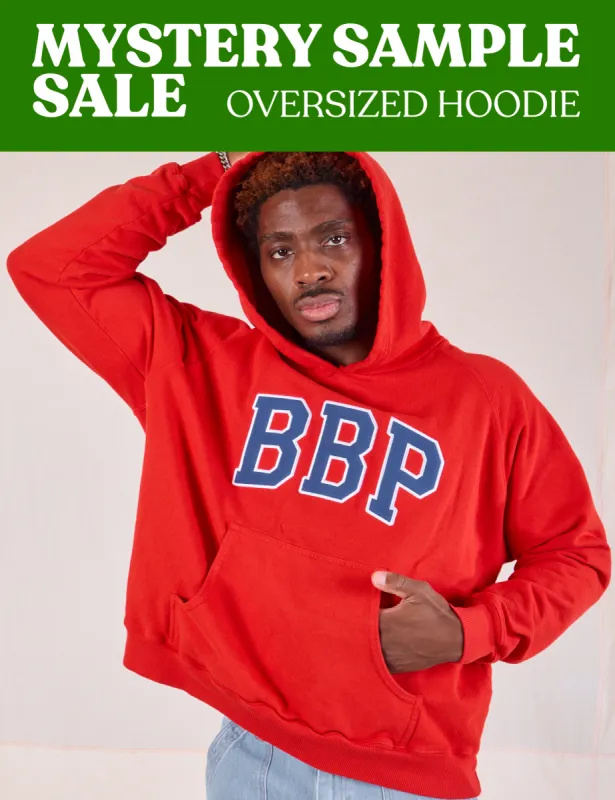 OVERSIZED HOODIES - MYSTERY SAMPLE SALE! *FINAL SALE* made by Big Bud Press
