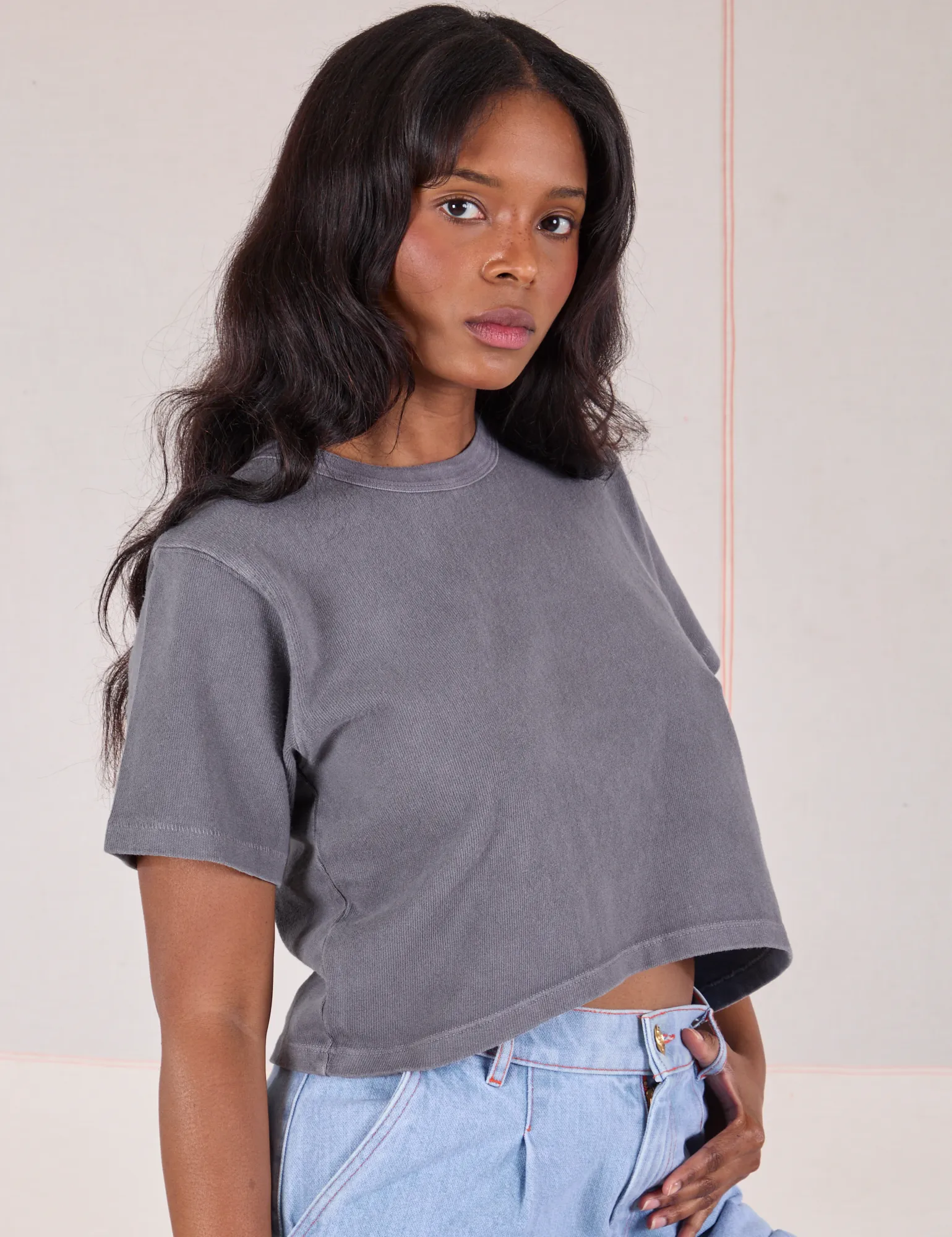 Cropped Burly Tee - Washed Grey sold by Big Bud Press product image thumbnail 4