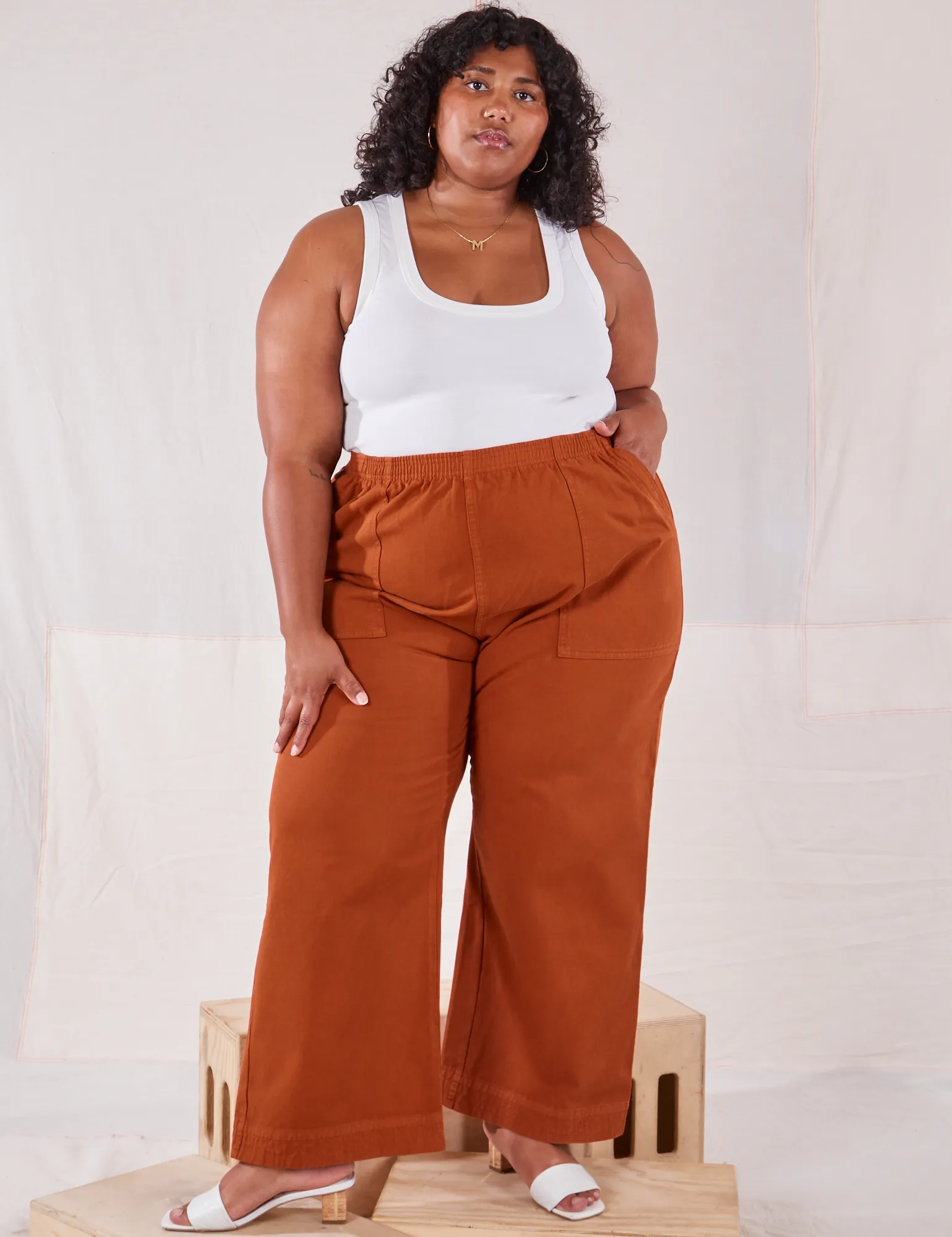 Big Bud Press Action Pants Burnt Terracotta *FINAL SALE* Parallel