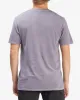 Essential Wave Washed T-Shirt - Purple Haze sold by Billabong