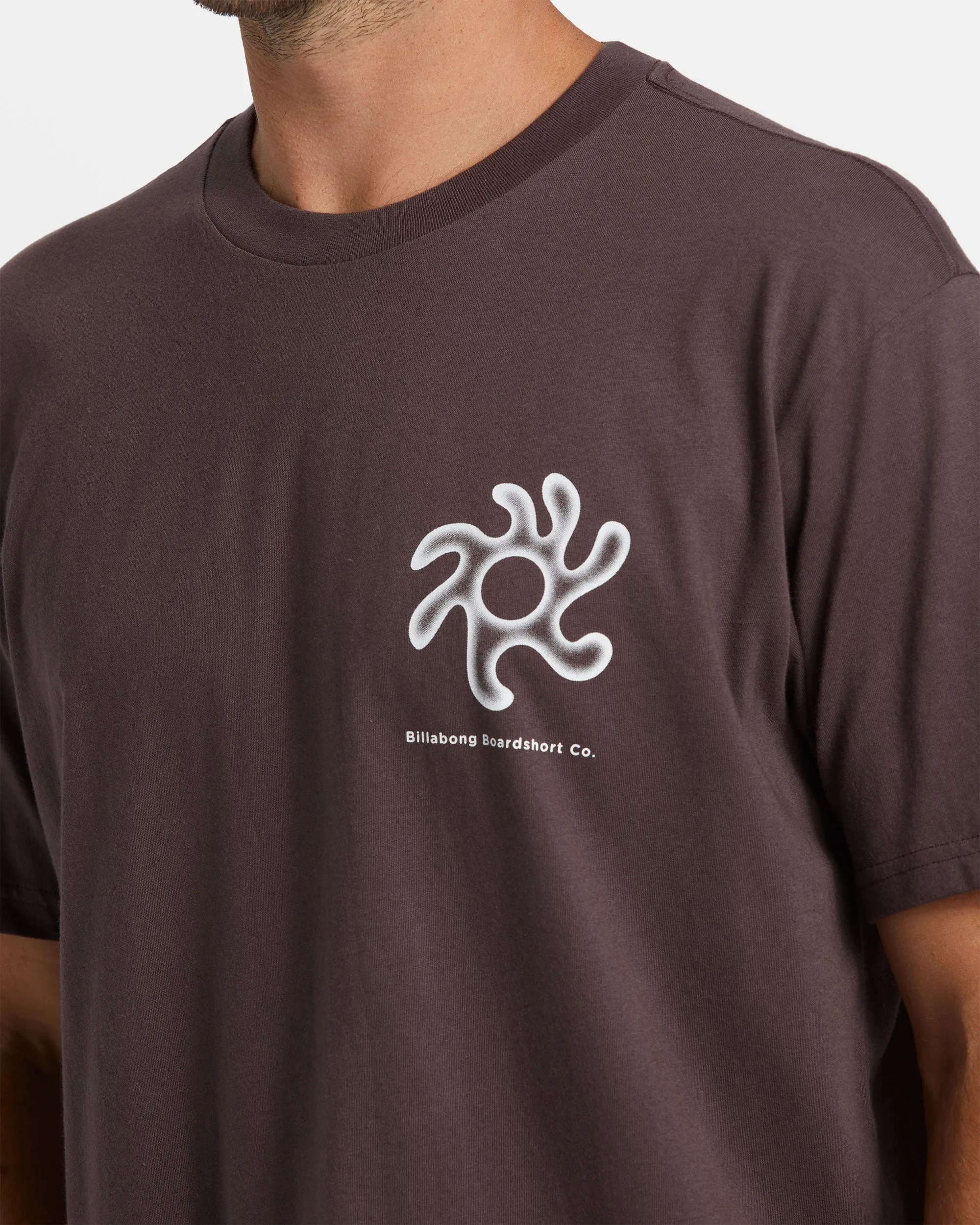 Figures T-Shirt - Plum sold by Billabong product image thumbnail 4