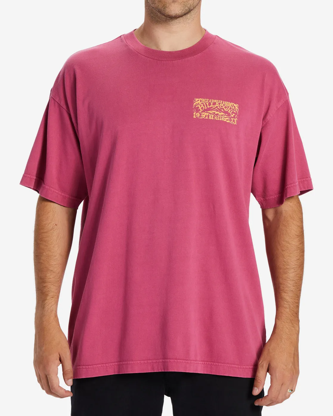 Arch Wave T-Shirt - Wild Berry sold by Billabong product image thumbnail 2