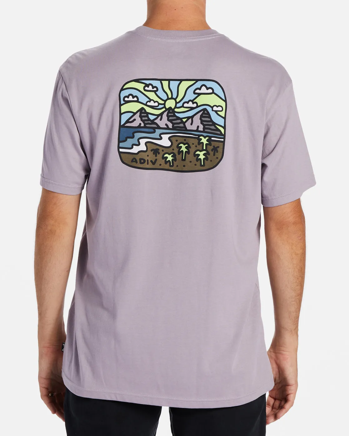Shine T-Shirt - Purple Ash sold by Billabong