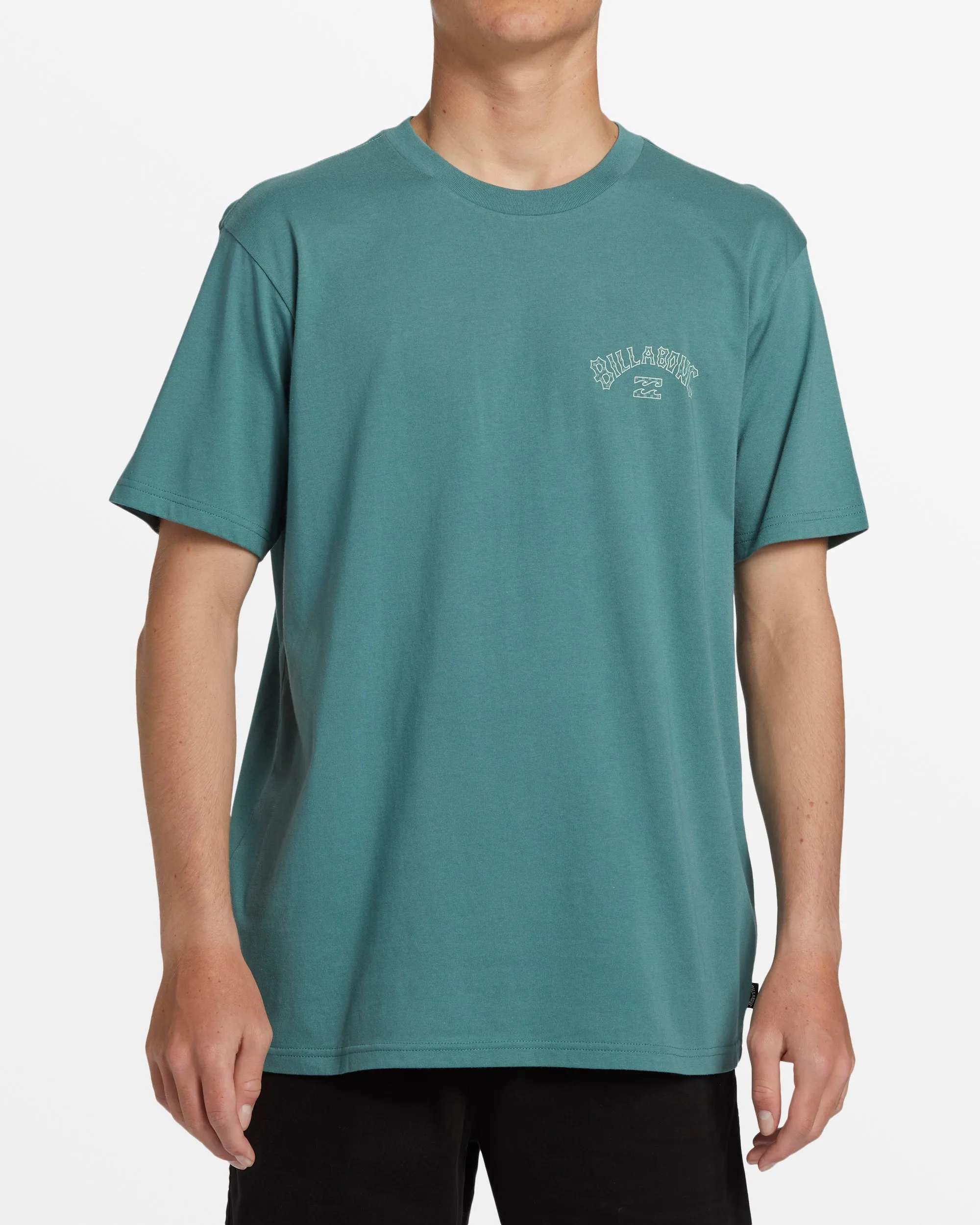 Arch Fill T-Shirt - Sea Pine sold by Billabong product image thumbnail 2