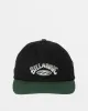 Throwback Baseball Hat - Hunter sold by Billabong