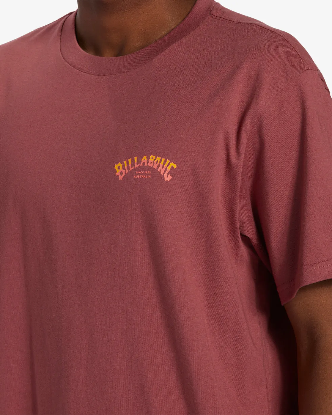 Stacked Arch T-Shirt - Rose Dust sold by Billabong product image thumbnail 3