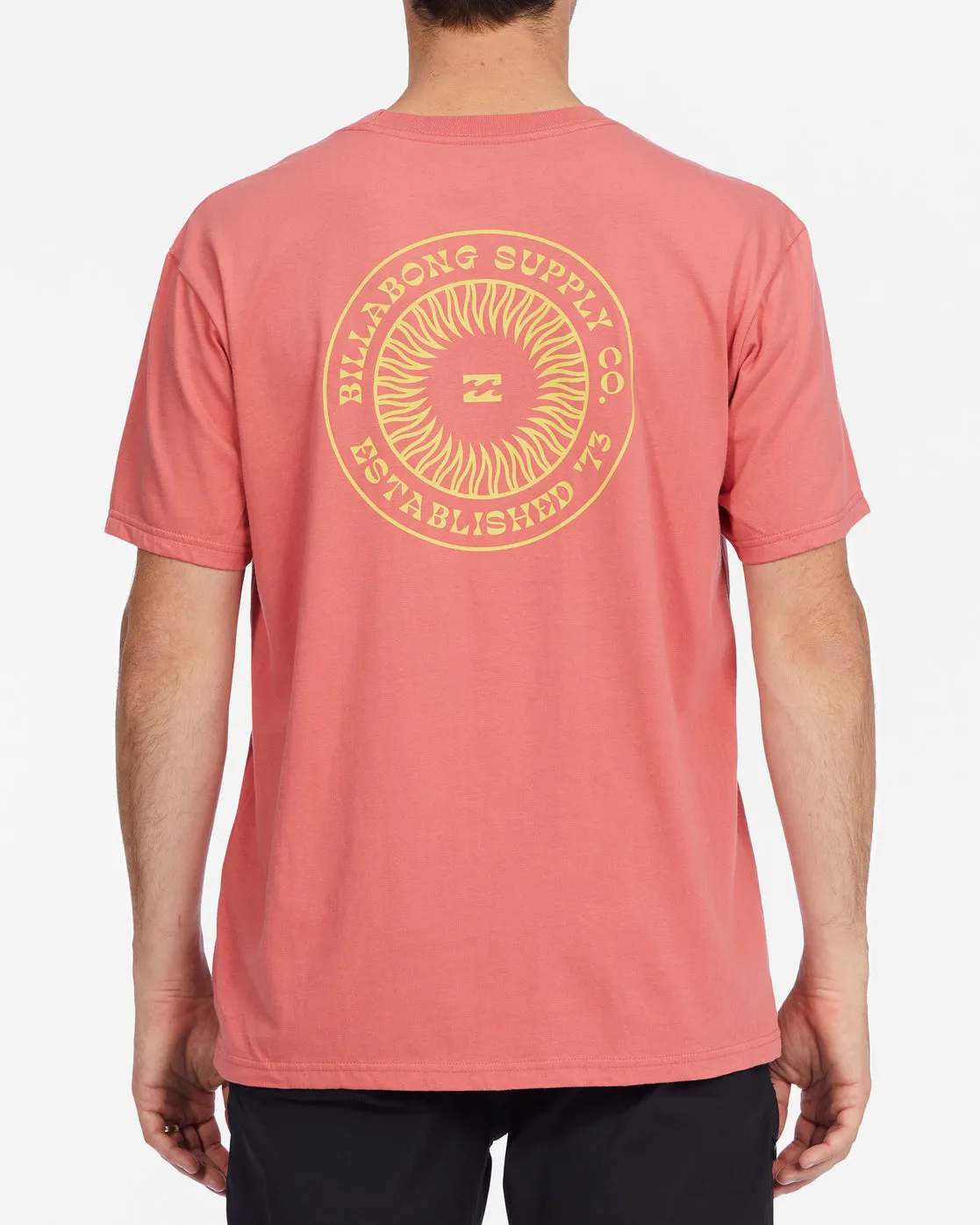 Praise Short Sleeve T-Shirt - Faded Rose sold by Billabong