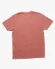 Essential Wave Washed T-Shirt - Faded Rose sold by Billabong