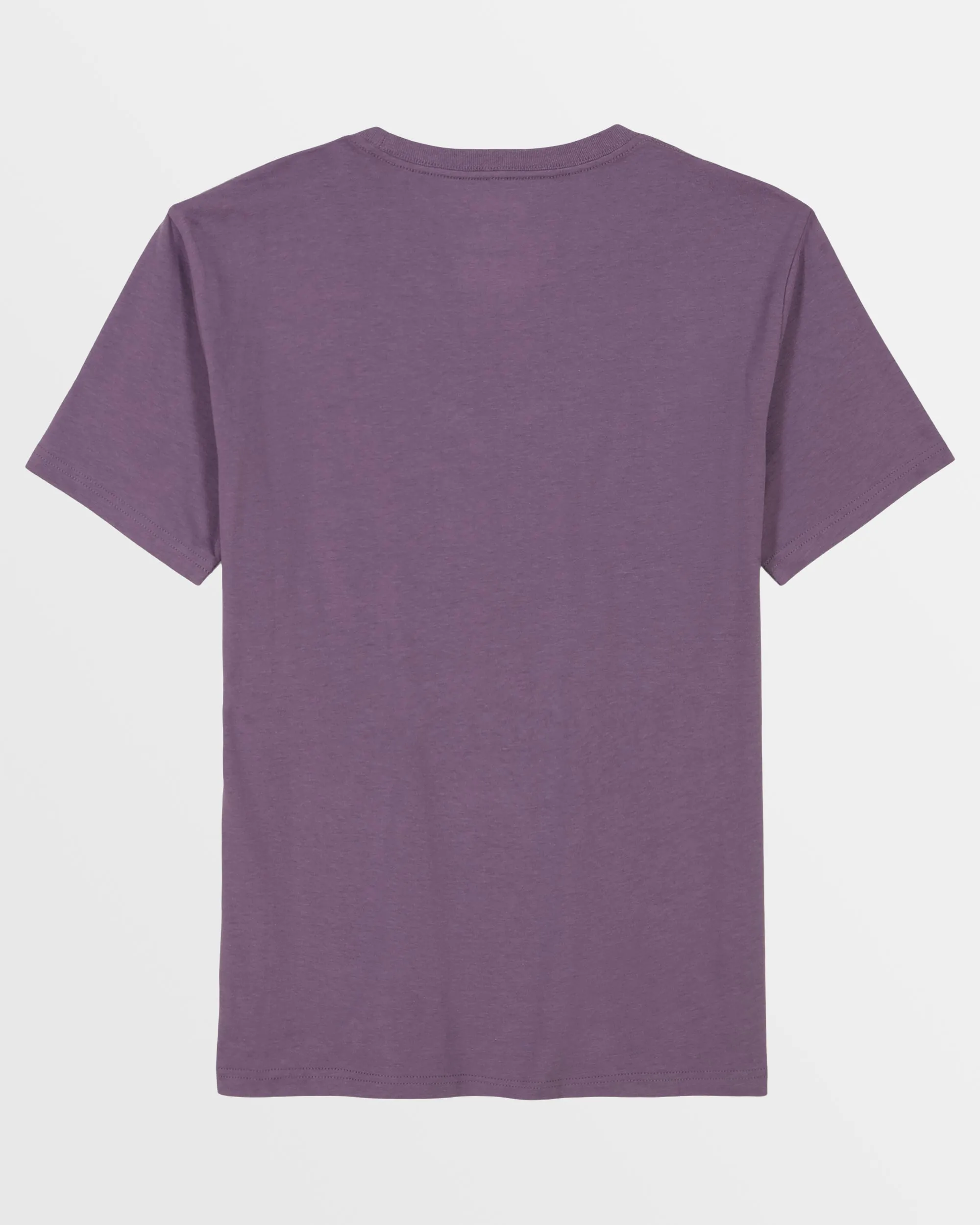 Little Boys Shady T-Shirt - Dusty Grape sold by Billabong product image thumbnail 2