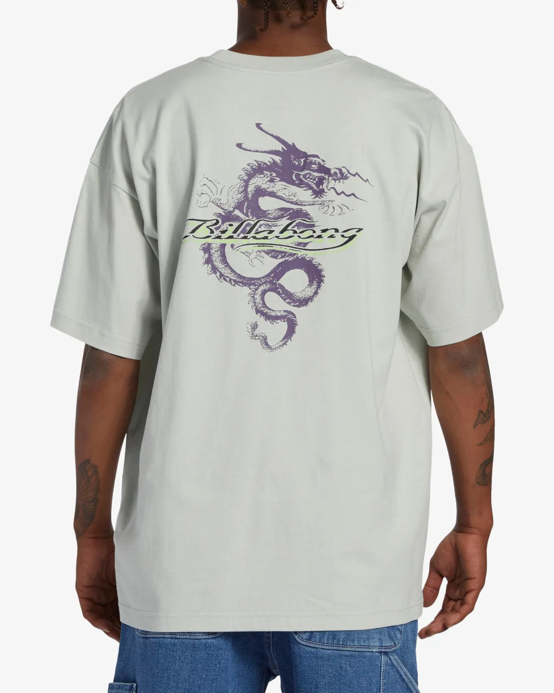 Enter The Dragon OG Short Sleeve T-Shirt - Grey Mist sold by Billabong