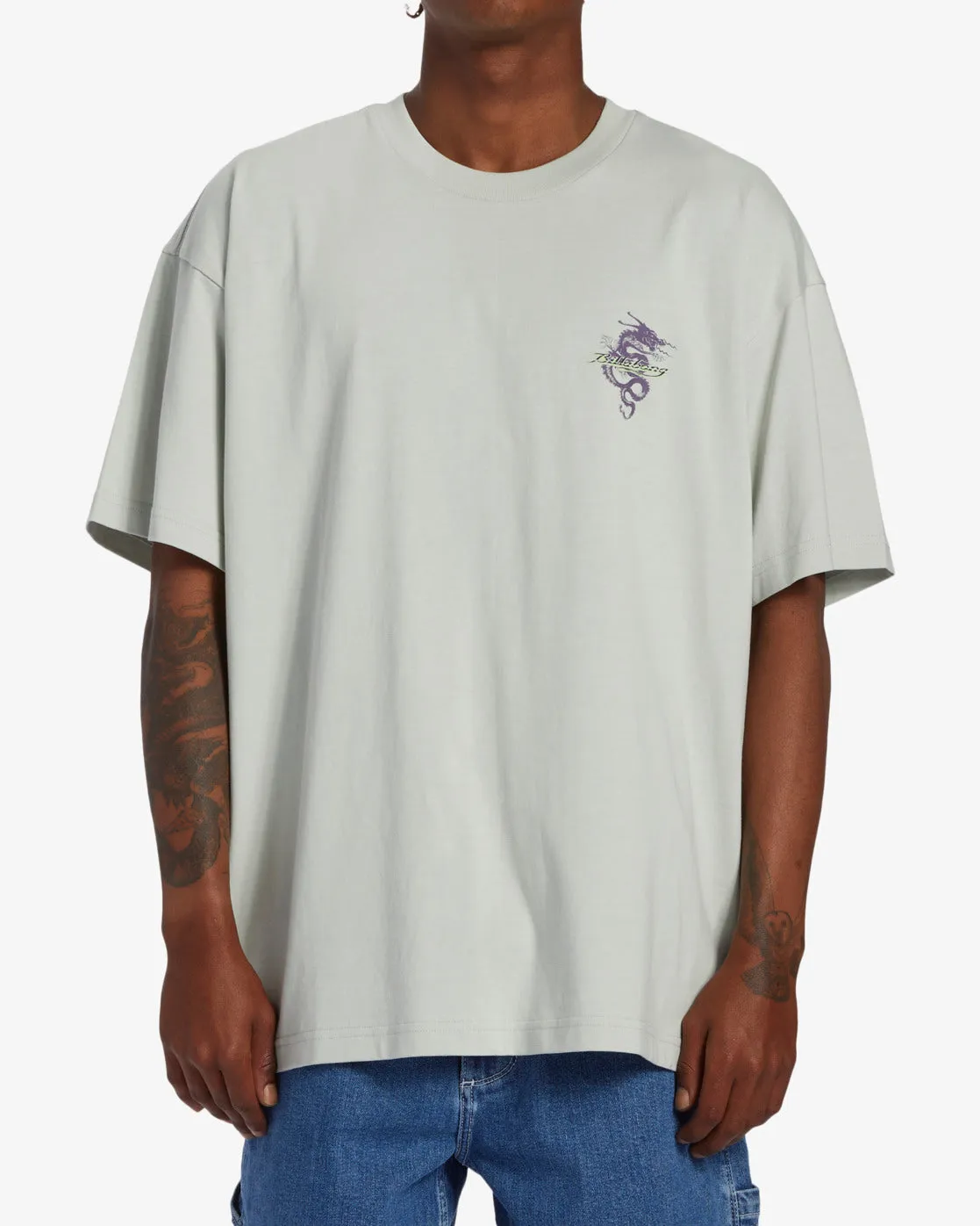 Enter The Dragon OG Short Sleeve T-Shirt - Grey Mist sold by Billabong product image thumbnail 2