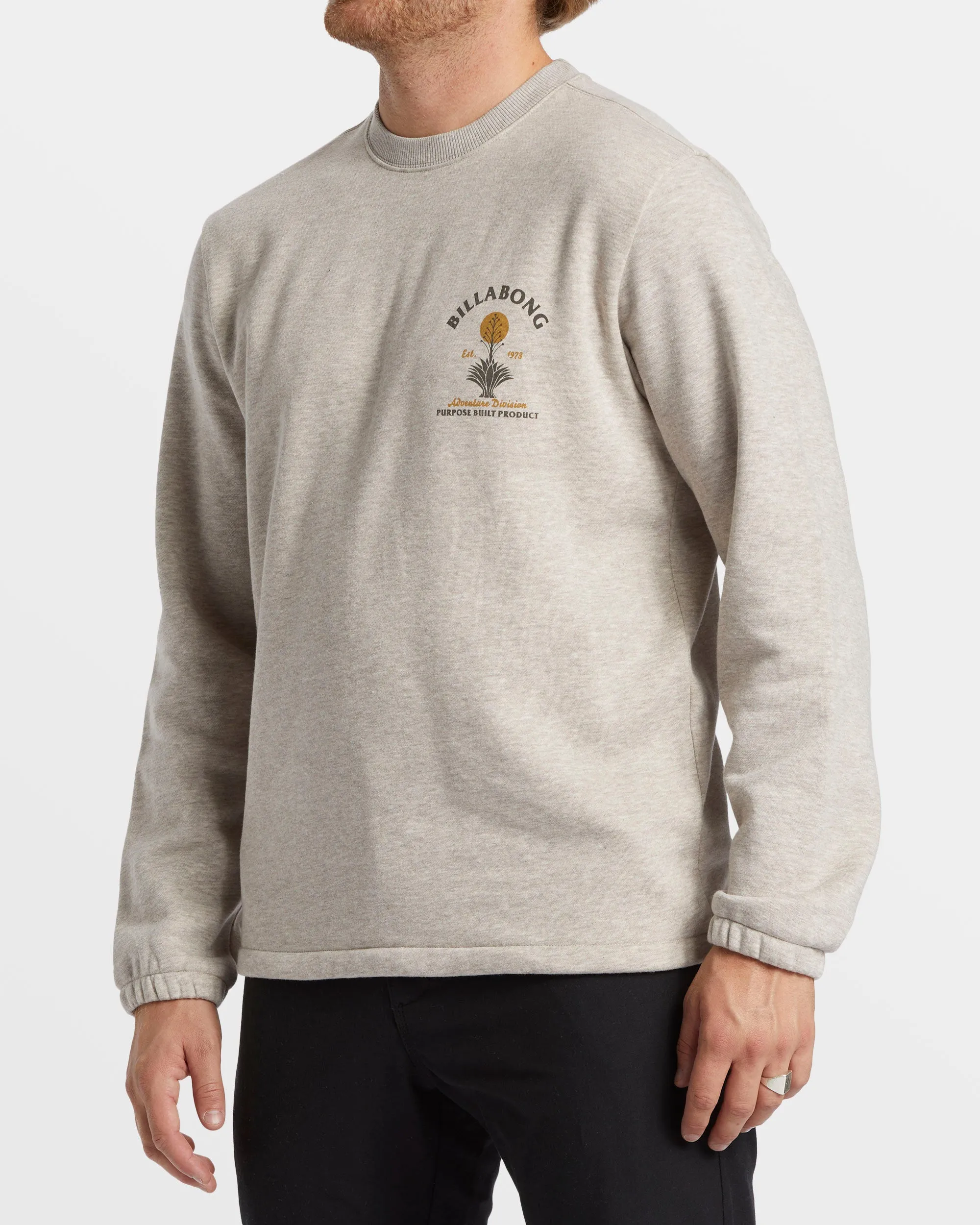 Compass Crew Sweatshirt - Stone Heather sold by Billabong product image thumbnail 3