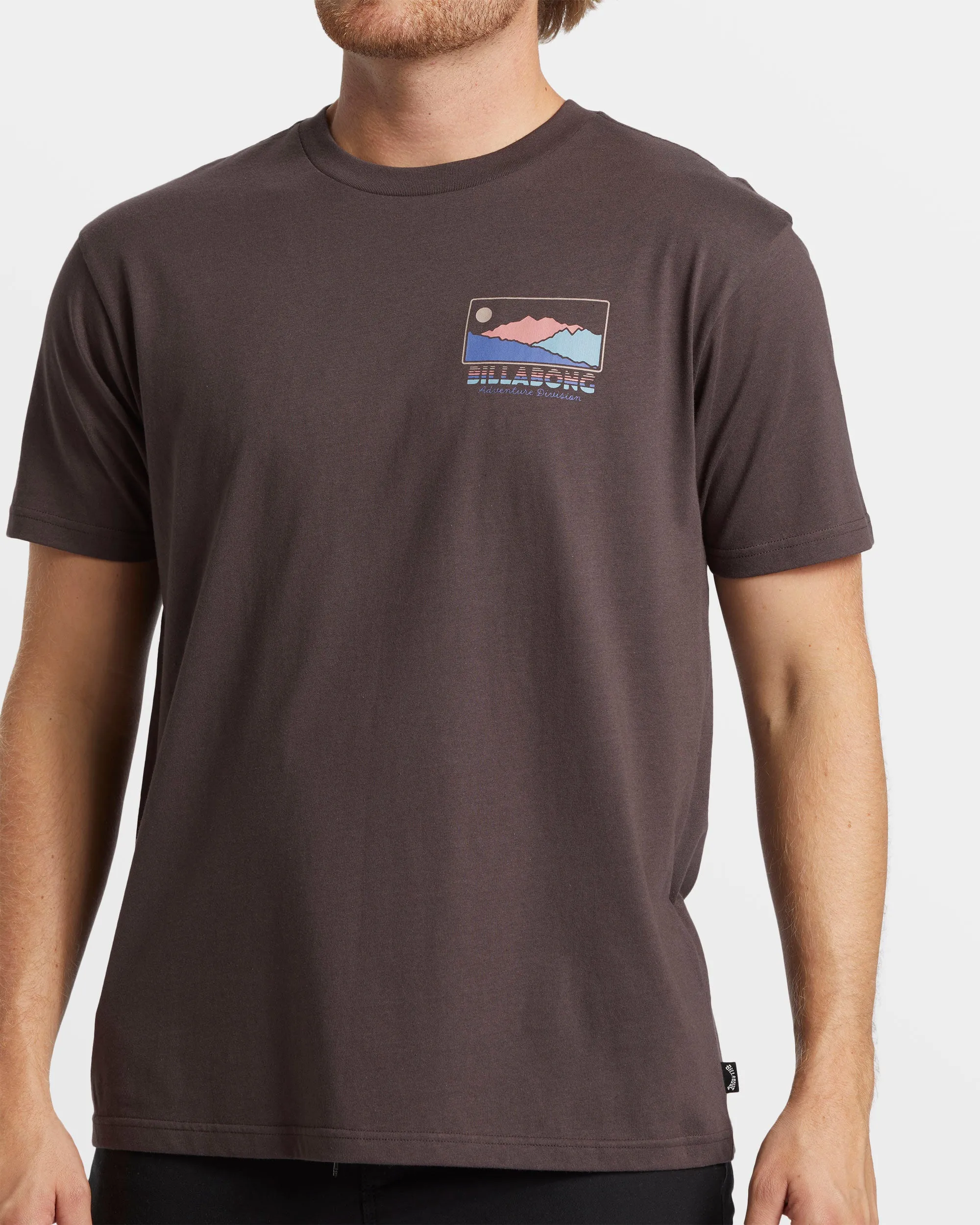 Range T-Shirt - Plum sold by Billabong product image thumbnail 4