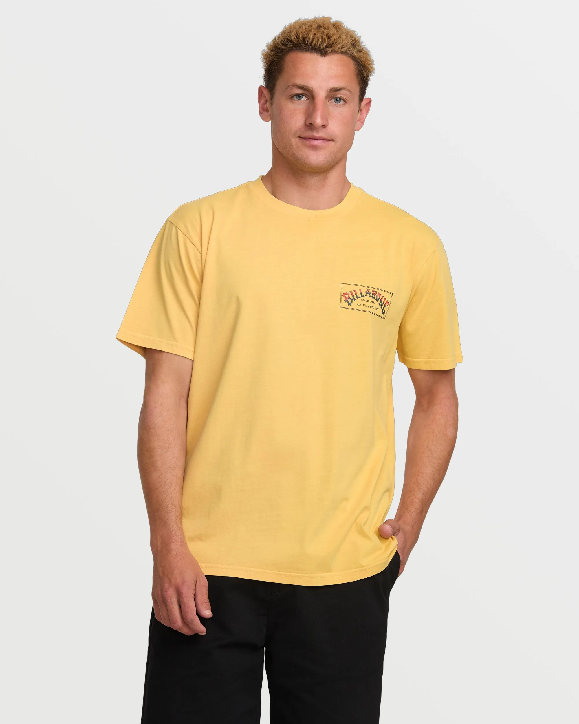 Original Arch Premium Wave Wash Short Sleeve Tee - Vintage Gold sold by Billabong product image thumbnail 2
