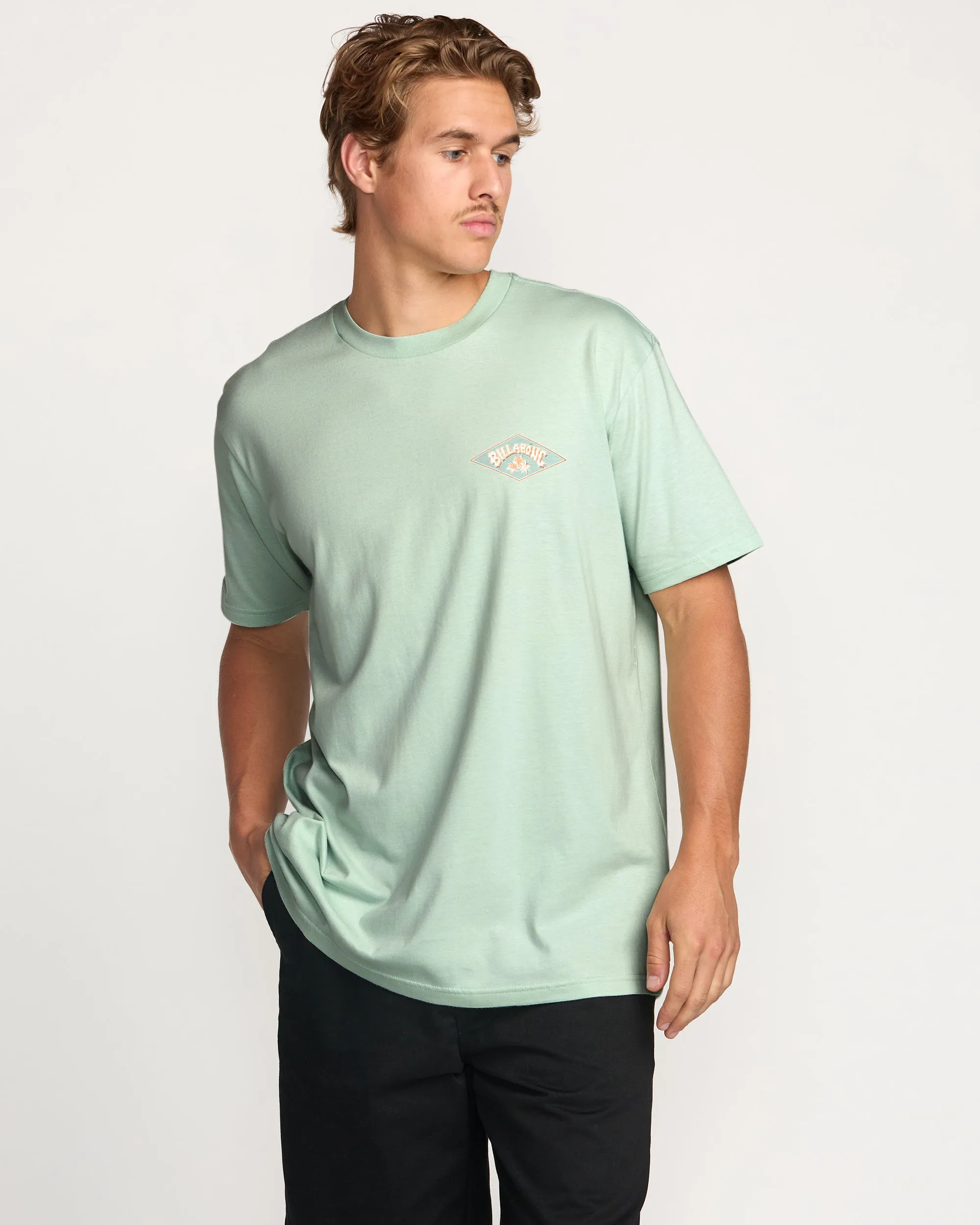 Diamond Arch Premium Tee - Seafoam sold by Billabong