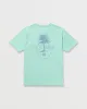 Calm Palm Premium Tee - Bermuda sold by Billabong