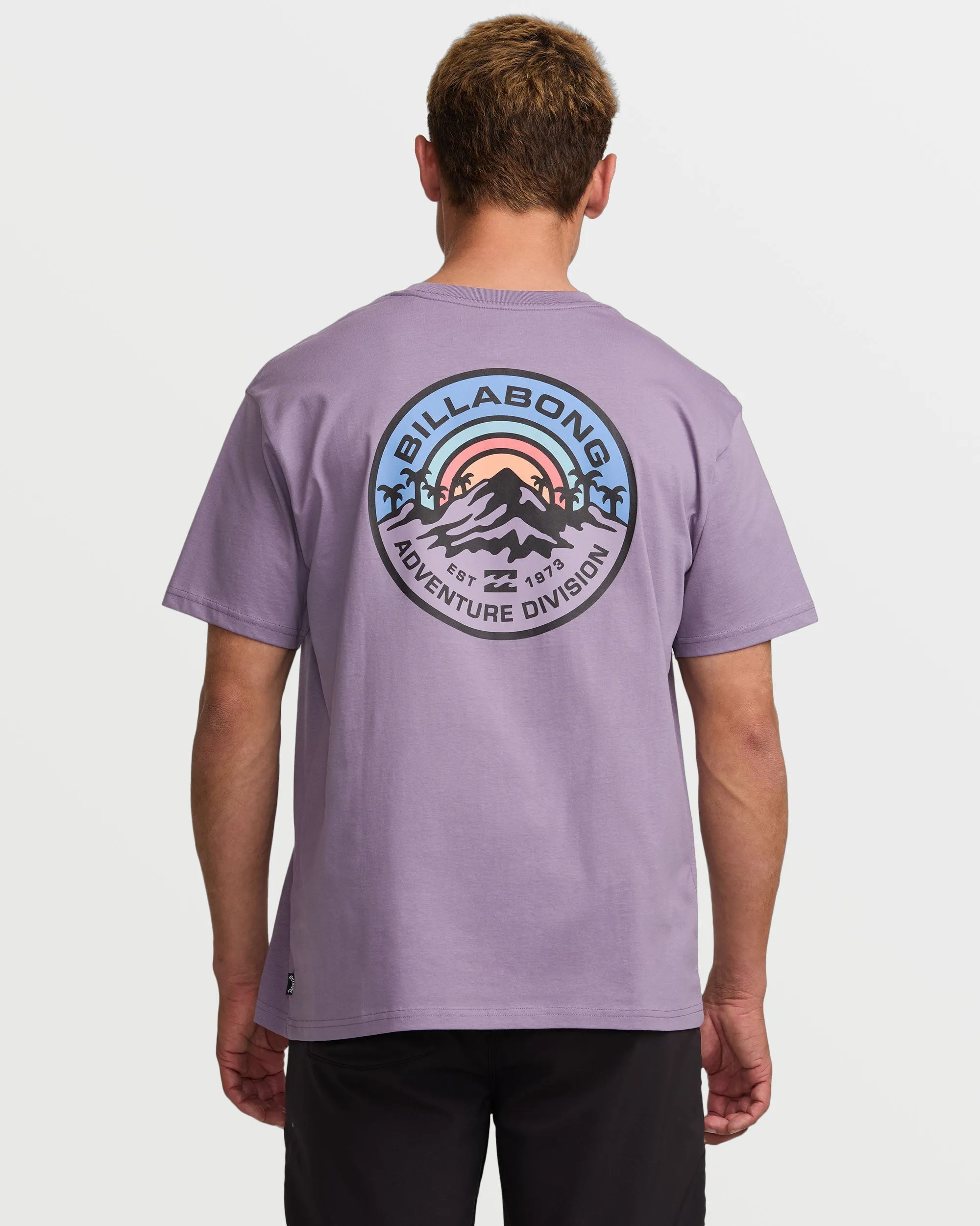 Rockies A/Div Tee - Lavender sold by Billabong
