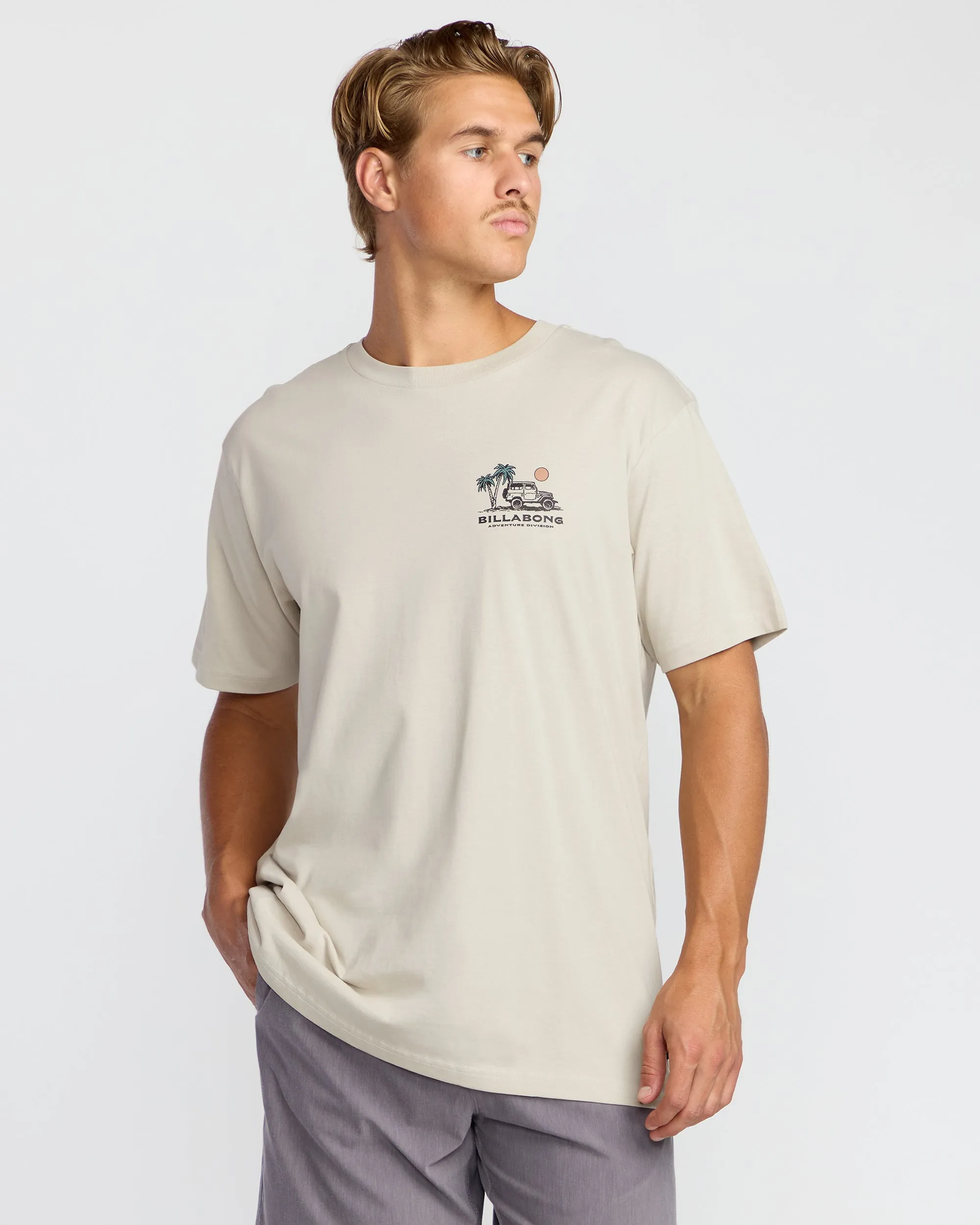 State Park A/Div Short Sleeve T-Shirt - Chino sold by Billabong