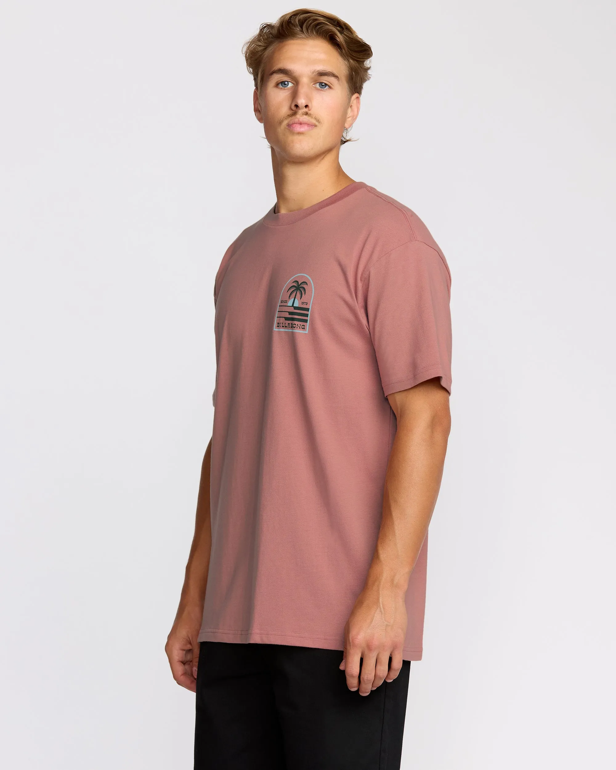 Portal Premium Short Sleeve T-Shirt - Dusty Rose sold by Billabong product image thumbnail 3