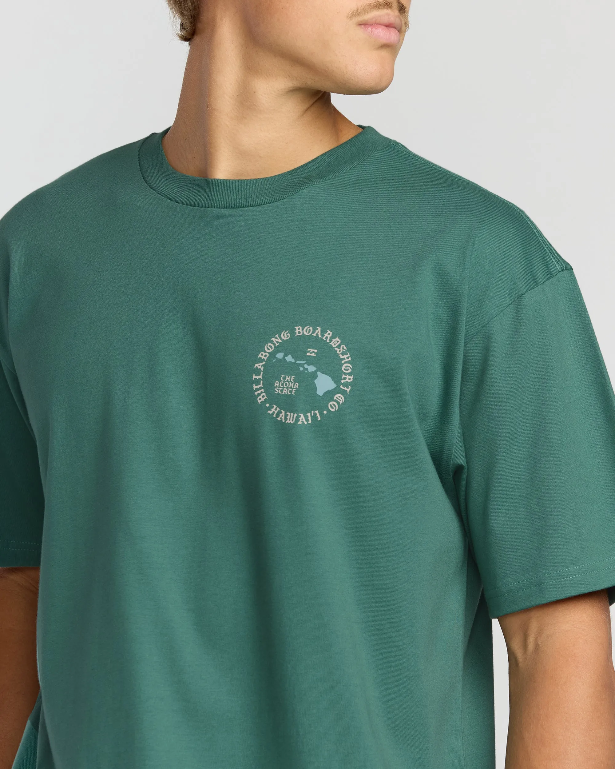 Aloha Island Hi Regular Short Sleeve T-Shirt - Sage Green sold by Billabong product image thumbnail 5