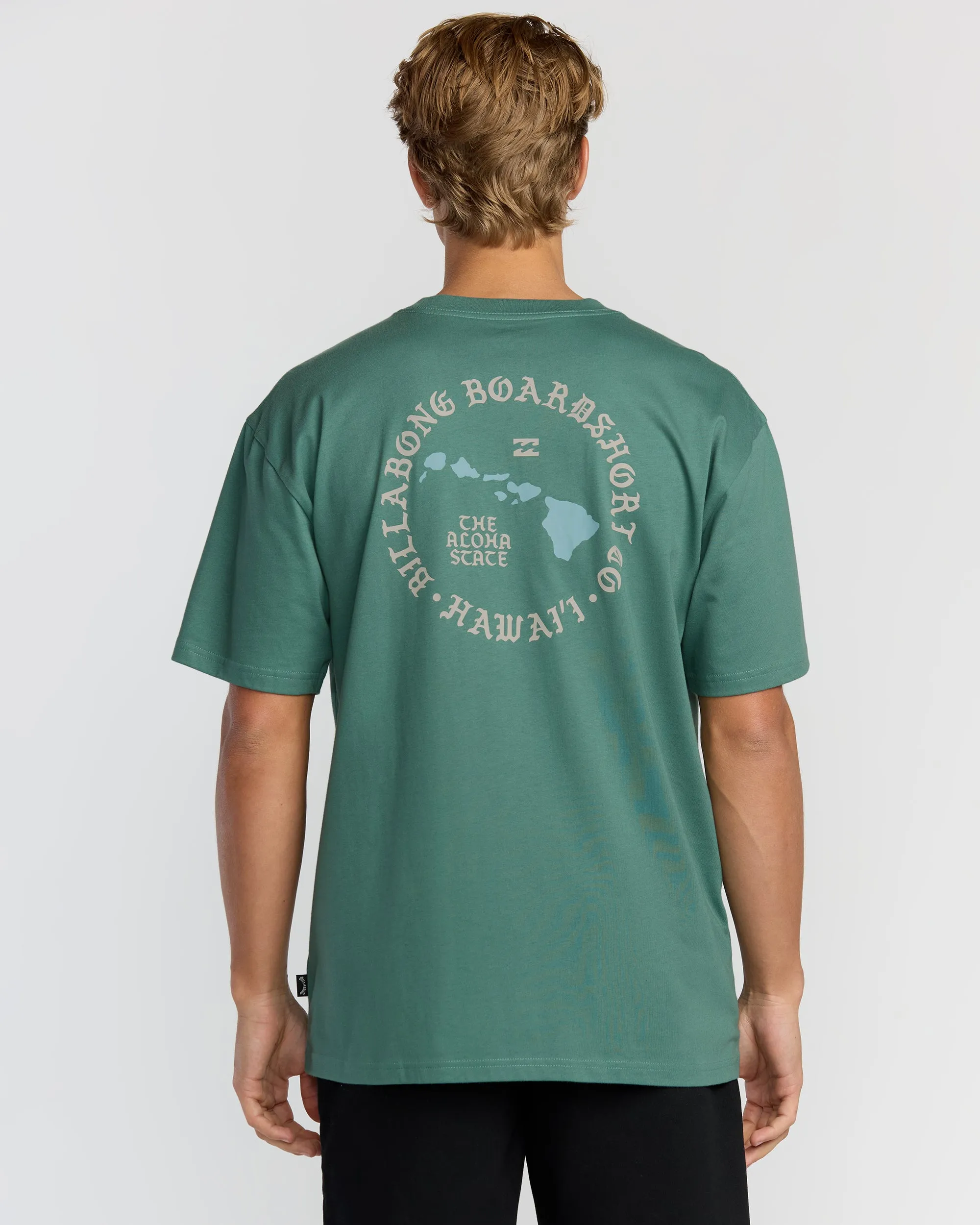 Aloha Island Hi Regular Short Sleeve T-Shirt - Sage Green sold by Billabong product image thumbnail 2