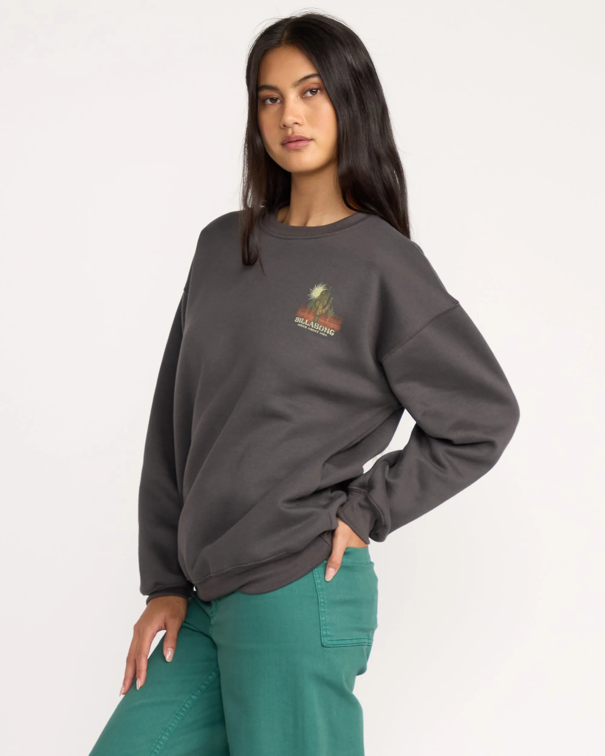 Desert Break Crewneck Sweatshirt - Off Black sold by Billabong product image thumbnail 3