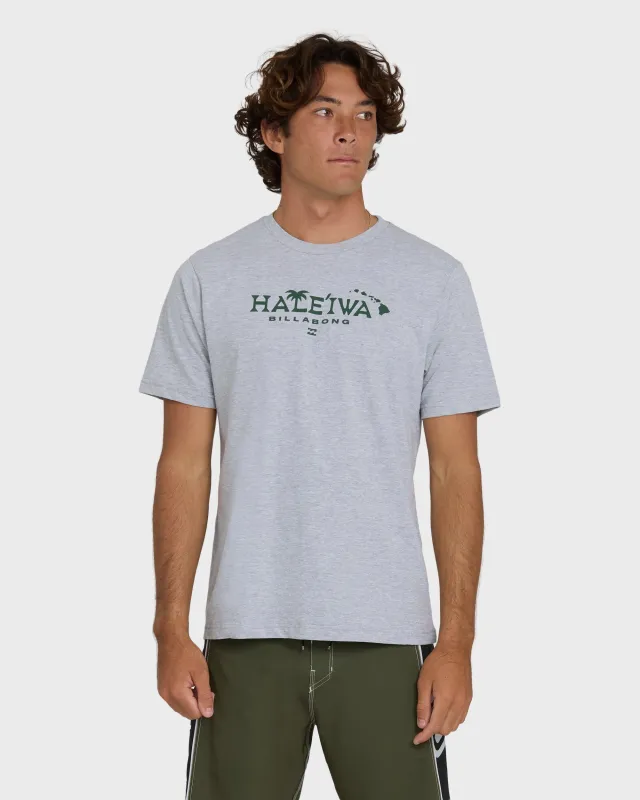 Haleiwa Palm Short Sleeve T-Shirt - Cloud Gray sold by Billabong