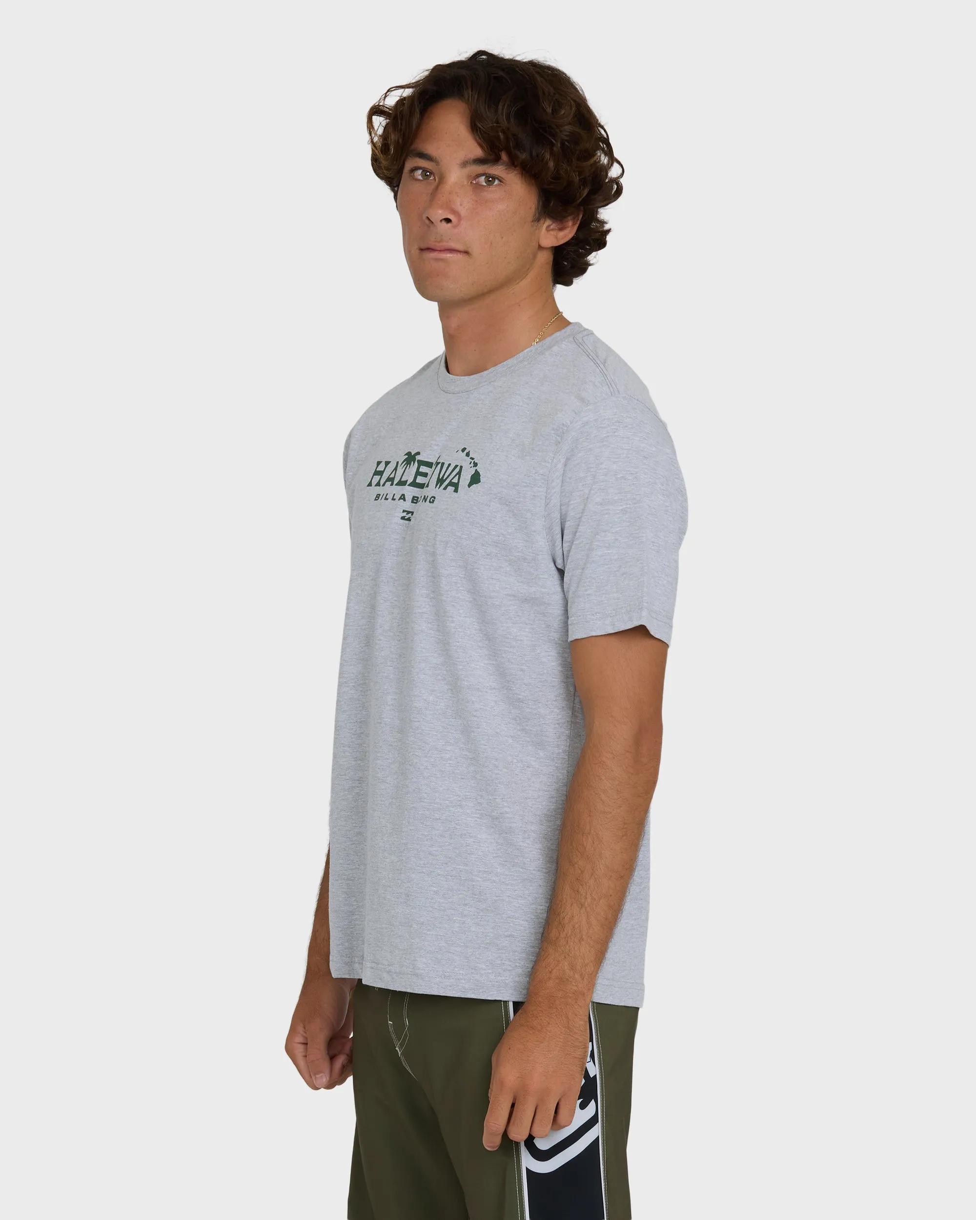 Haleiwa Palm Short Sleeve T-Shirt - Cloud Gray sold by Billabong product image thumbnail 4
