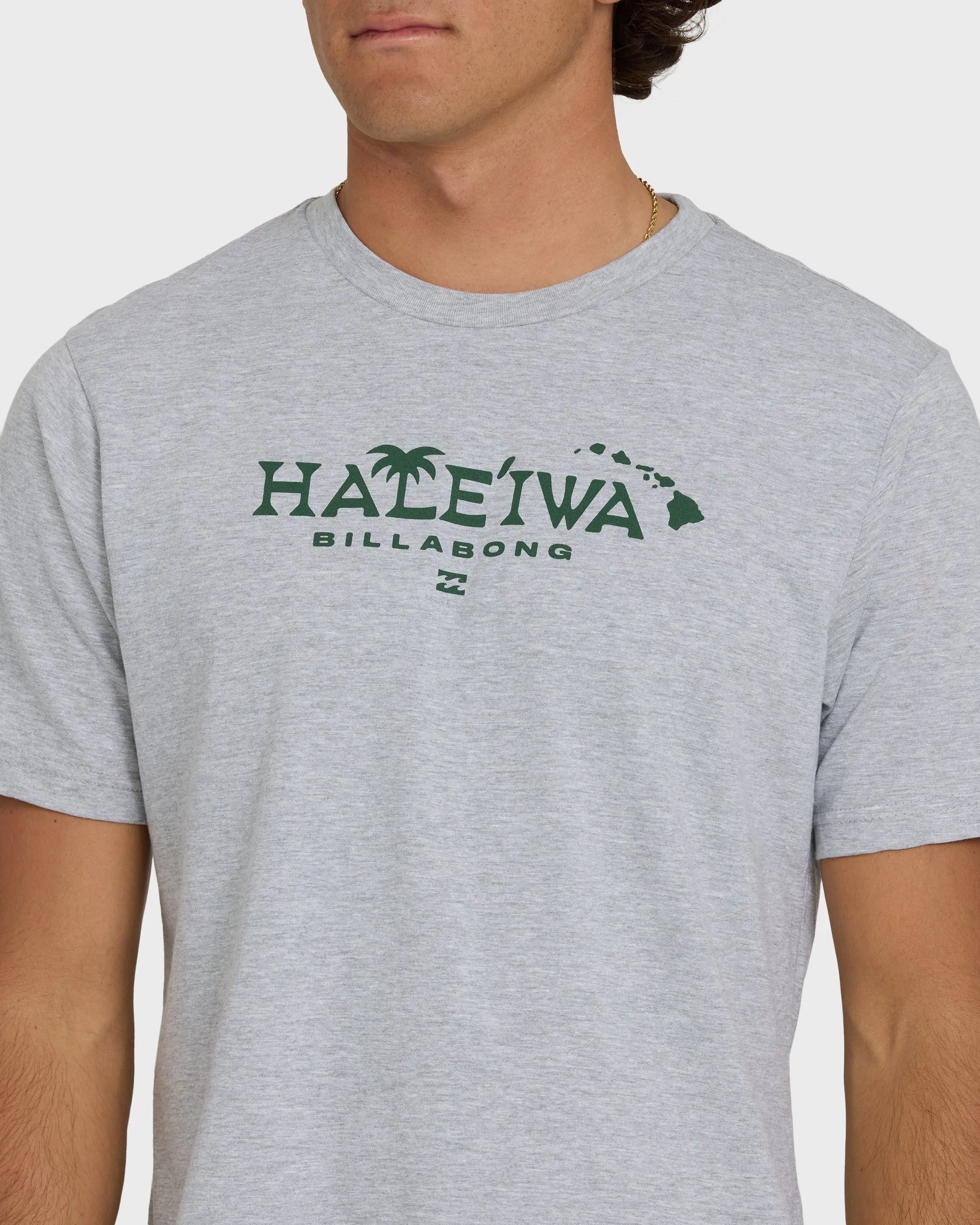 Haleiwa Palm Short Sleeve T-Shirt - Cloud Gray sold by Billabong product image thumbnail 5