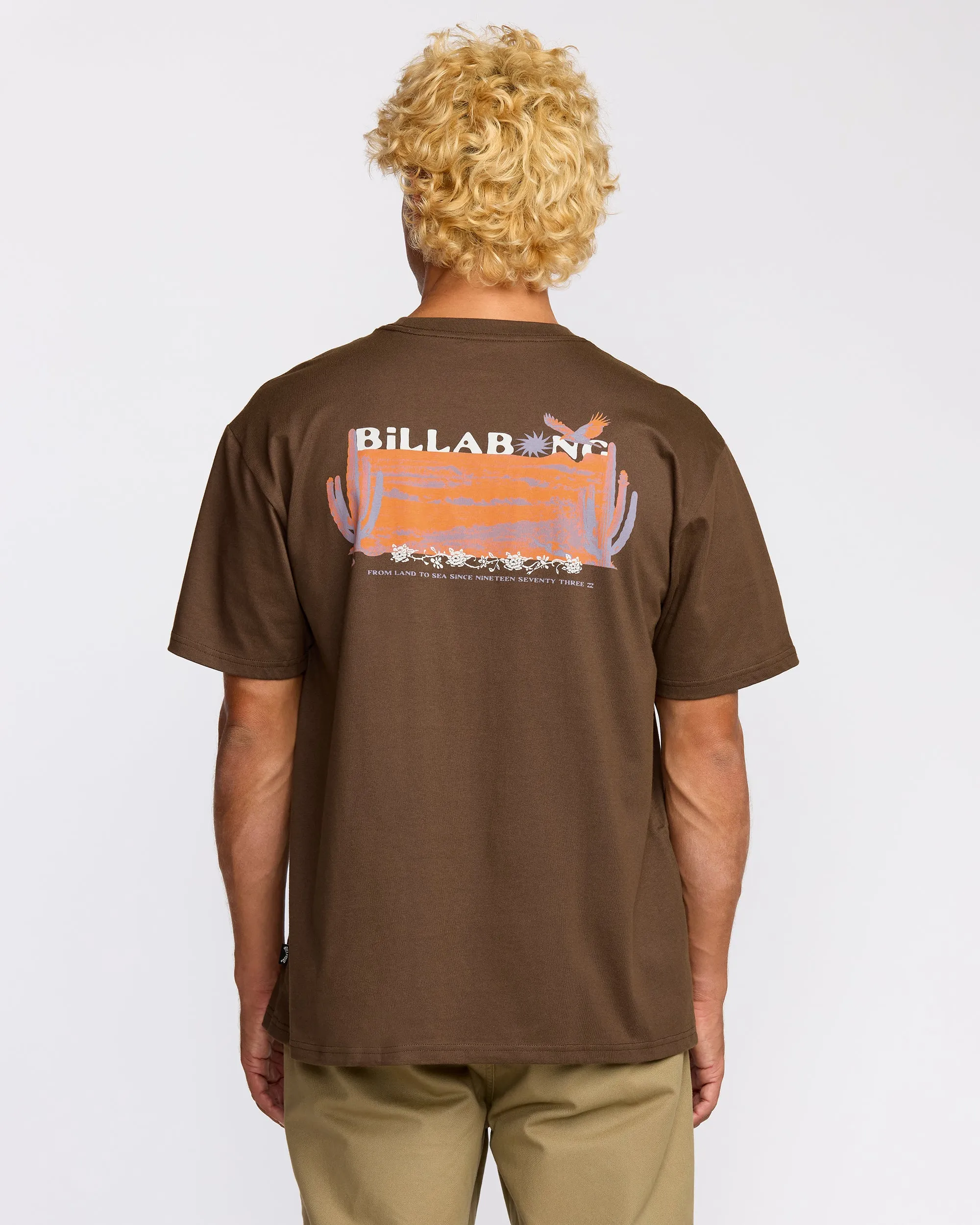 Land To Sea Regular Short Sleeve T-Shirt - Rustic Brown sold by Billabong product image thumbnail 2