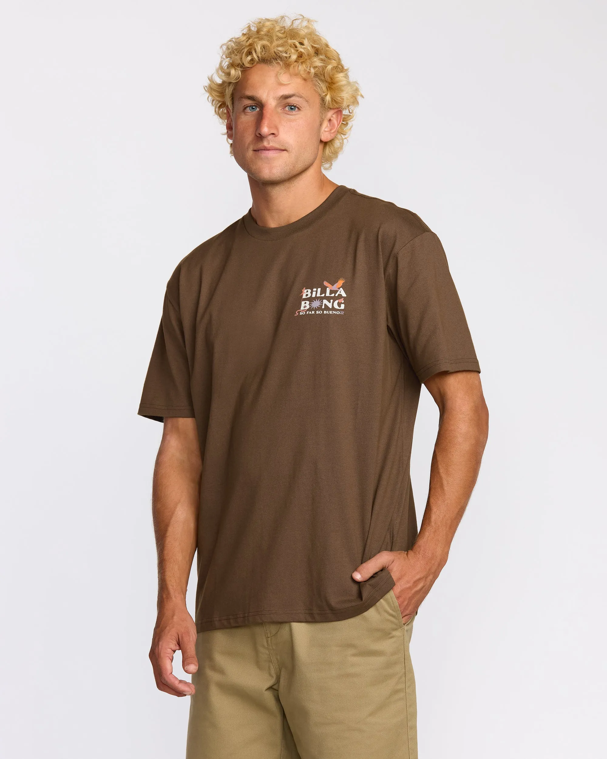 Land To Sea Regular Short Sleeve T-Shirt - Rustic Brown sold by Billabong product image thumbnail 3